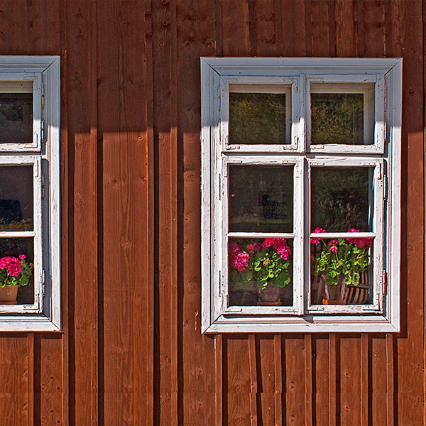 Frânturi de amintiri. Doamna G.